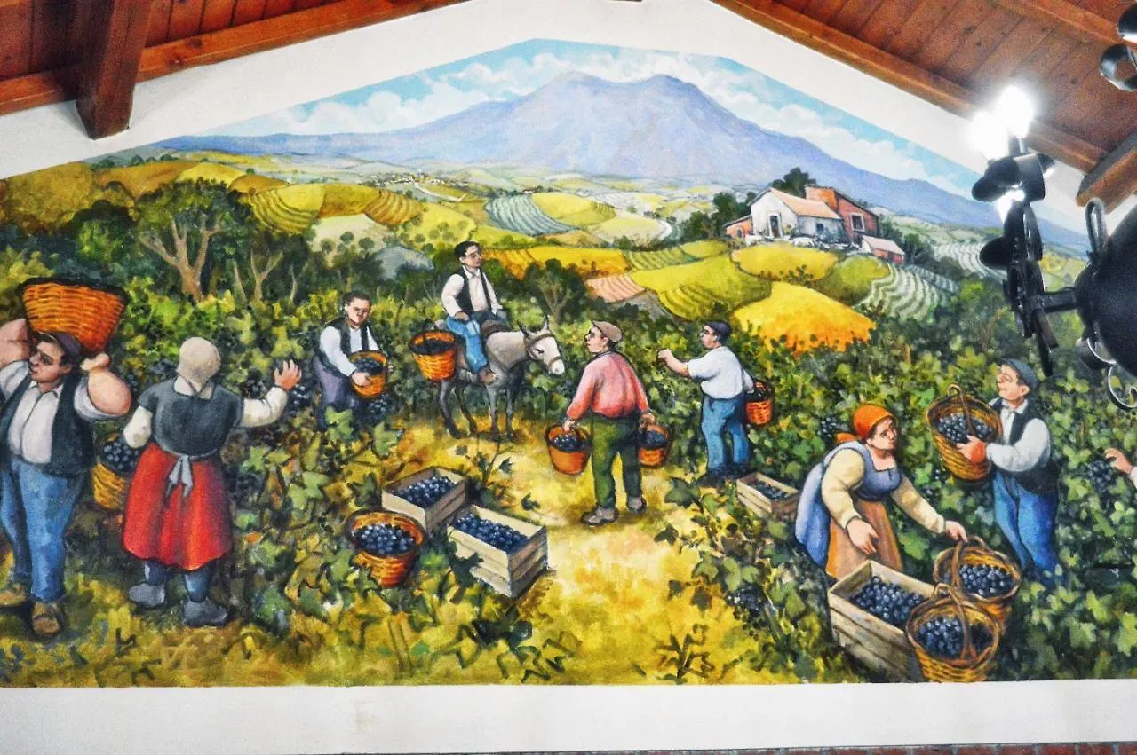 Vakantieboerderij Agriturismo Kikajon Linguaglossa