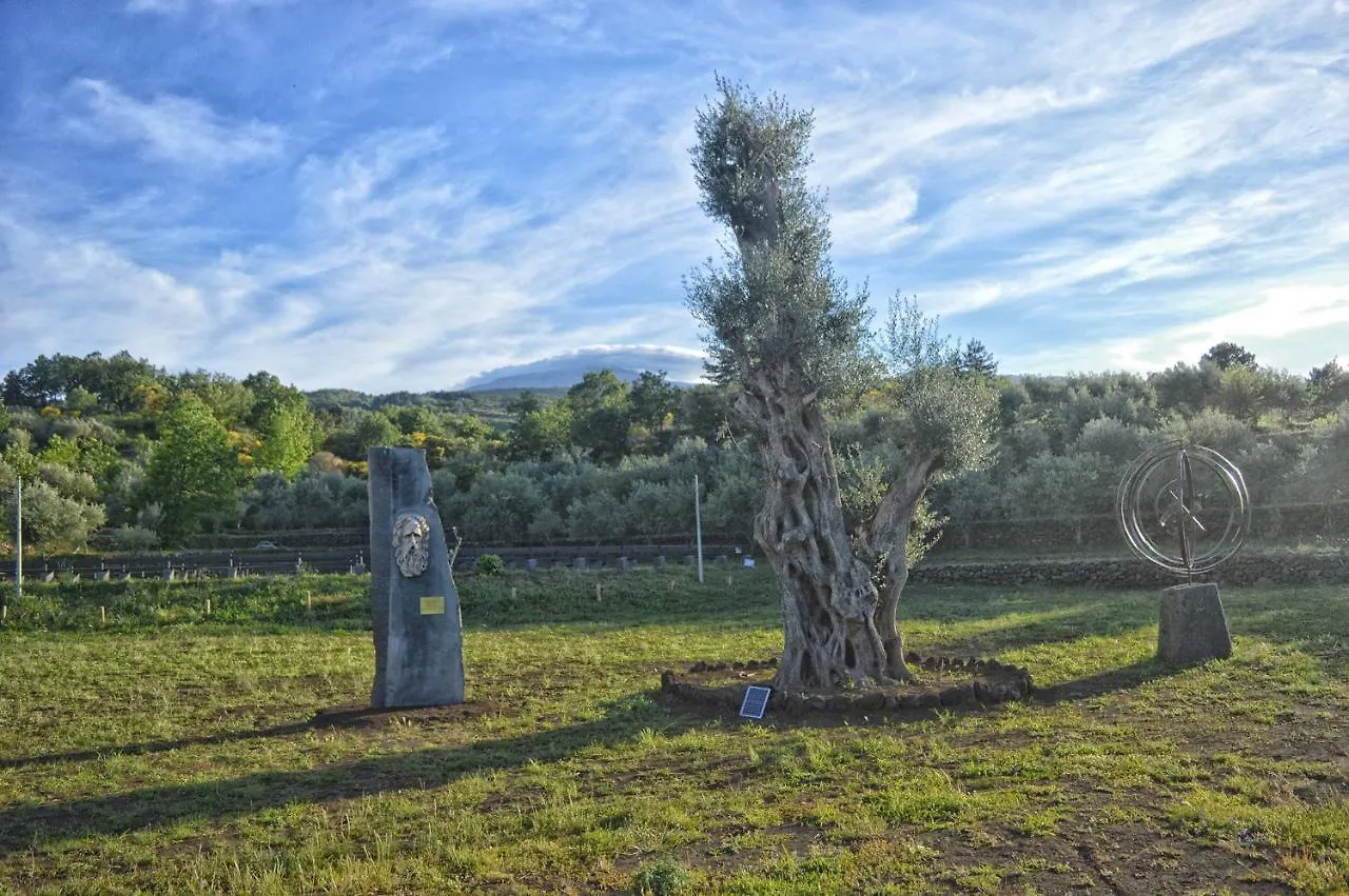 Agriturismo Kikajon Linguaglossa Feriegård